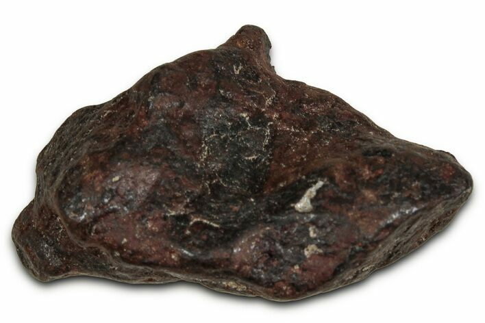 Canyon Diablo Iron Meteorite ( g) - Arizona #356032